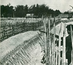 A strategic hamlet in South Vietnam, c. 1964