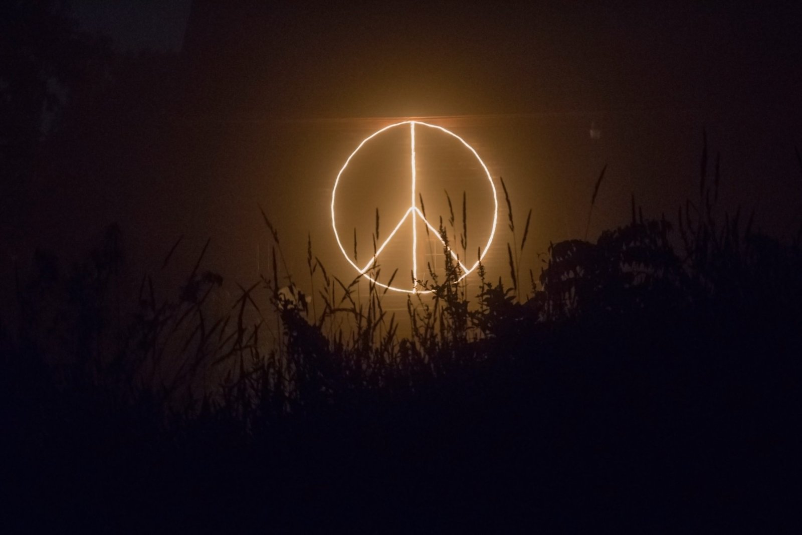 Peace sign logo neon signage