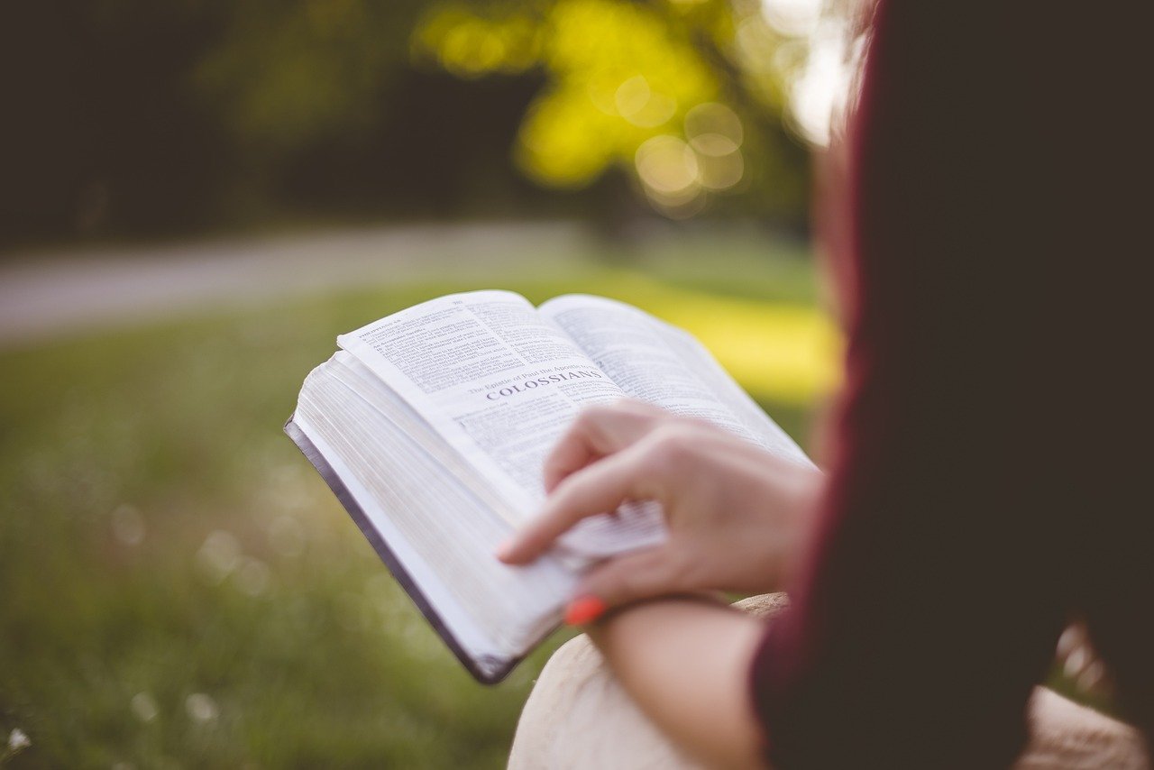 Woman reading book