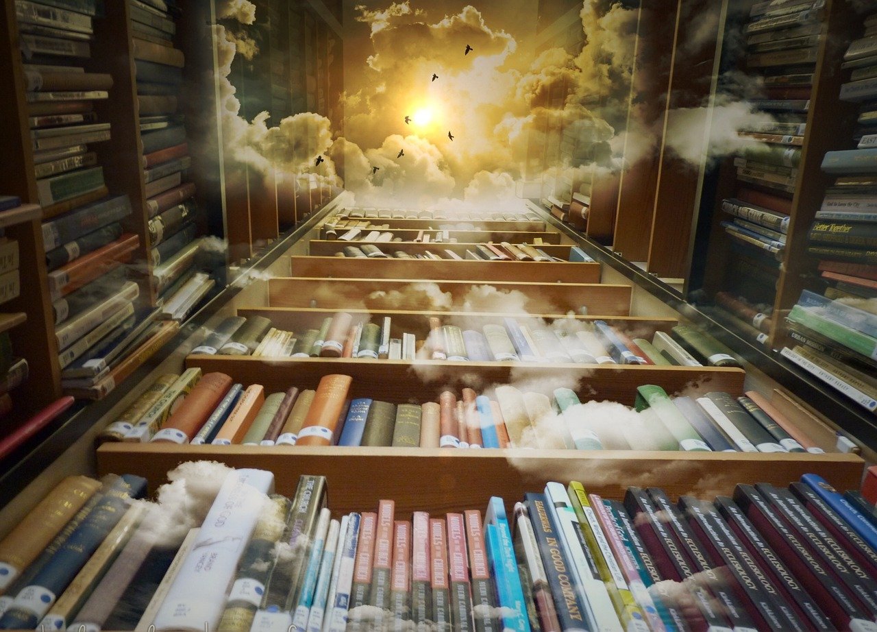 library and birds