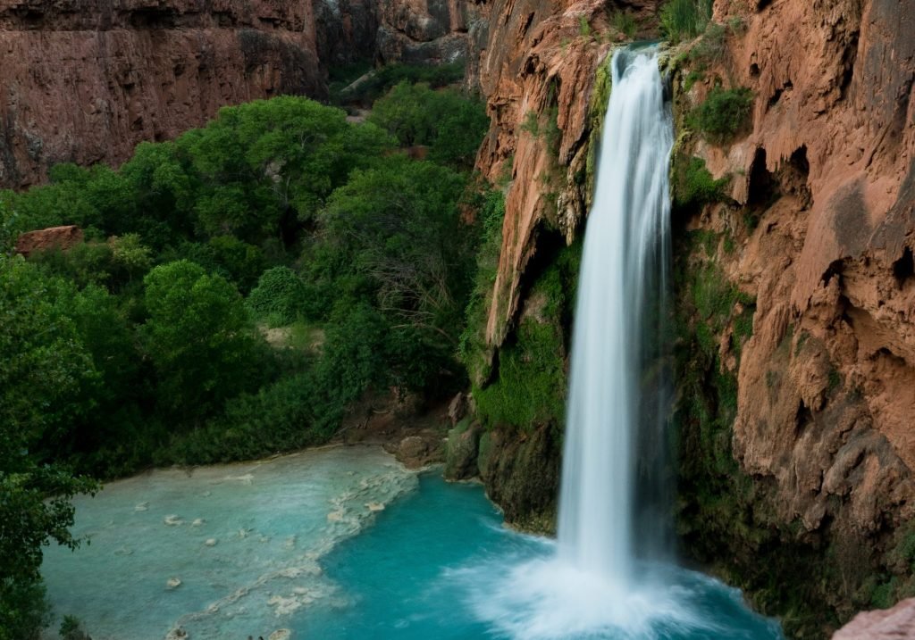 waterfalls near green trees